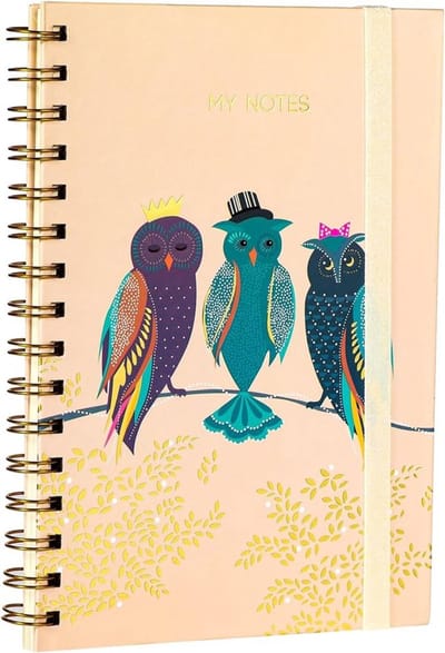 Papiernotitieboek met scheiders - spiraalnotitieblok - klassiek dik gelinieerd - hardcover dagboek - spiraalgebonden schrijfnotities - A5 - 160 pagina's - projectboek voor creatief schrijven