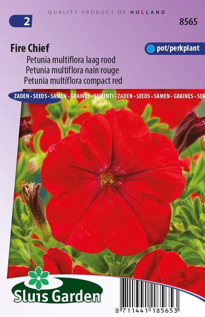 Sluis Garden - Petunia Fire Chief