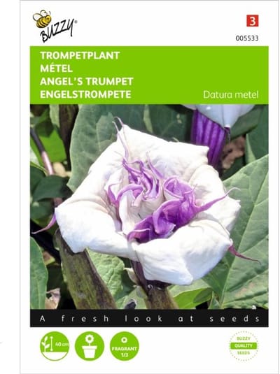 Buzzy Zaden - Doornappel (Datura metel)