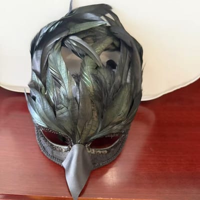 Zwarte veren halfgezicht vogelbek feestmasker One size fits all adults zwart