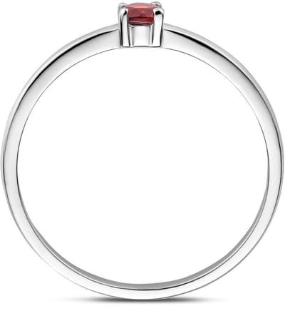 Gerhodineerd Zilver Ring Met Geboortesteen Granaat Januari 1337101