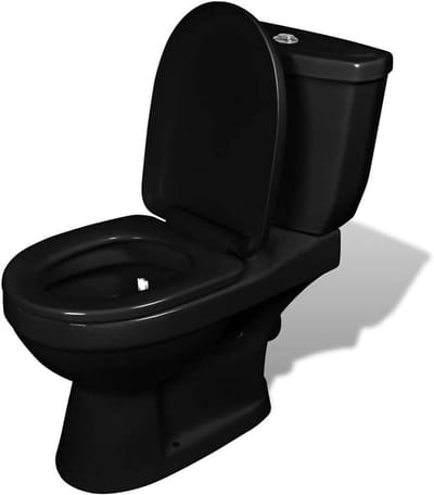 Toilet met stortbak - WC set - Badkamer vernieuwen - Twin flush mechanisme - 70 x 39 x 76 cm
