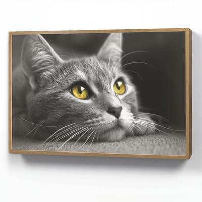Wandlamp 90x60 cm - Oplaadbaar - Kat - Zwart - Wit - Dieren - Natuur - Wandlampen binnen woonkamer - Slaapkamer lamp - Decoratieve nachtlamp - Vloerlamp draadloos