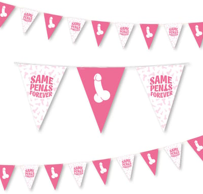 Q2P - Slingers - Bride to Be - Vrijgezellenfeest Vrouw - Versiering - Penis - Decoratie - Vlaggenlijn - Piemel