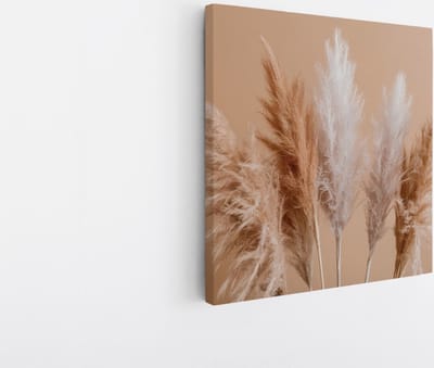 Saammp Canvas Schilderij - Pampas pluimen - Bloemen - Natuur - 20x20 - Foto op canvas - Wanddecoratie - Muurdecoratie Woonkamer - Kantoor Decoratie