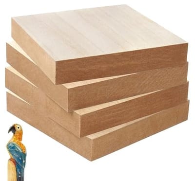 Houtsnijhout, 4 stuks lindehouten blokken om te snijden, 15 x 15 x 2,5 cm, onbehandeld, houten blokken lindehout voor het snijden van onbewerkte houten houten stukken, voor doe-het-zelf houten