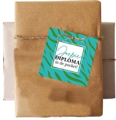 Set 5 kadokaartjes klein – gefeliciteerd - geslaagd - diploma in de pocket - einde schooljaar - studie - Wildcards