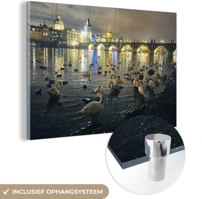 ® Glasschilderij 180x120 cm - Schilderij acrylglas - Watervogels in de Moldau in de nacht met uitzicht op de Karelsbrug in Praag - Foto op glas - Muurdecoratie woonkamer - Wanddecoratie slaapkamer - Schilderijen