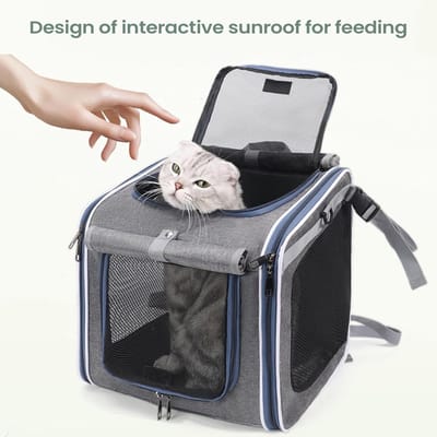 Honden Fietsmand - Draagbare Tas - Veilig Vervoer - Verstelbare Banden - 36x36x25 cm - Zwart