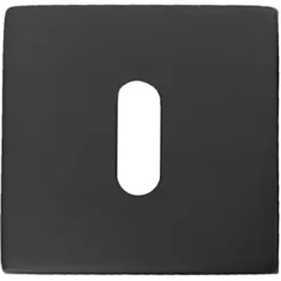 Avenue Sleutelgatrozet - Staal - Modern - 8cm - Mat Zwart - 2 Stuks