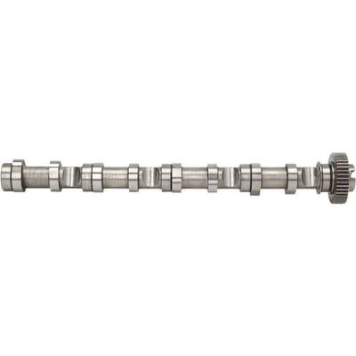 Nokkenas  AE CAM961
