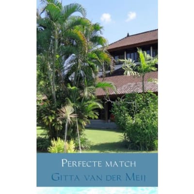 Perfecte Match - Gitta van der Meij