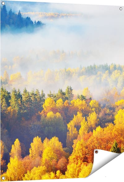 Gards Tuinposter Gekleurde Herfstbos met Mist - 80x100 cm - Tuindoek - Tuindecoratie - Wanddecoratie buiten - Tuinschilderij