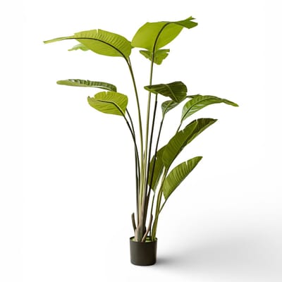 Indore Silva Strelitzia Kunstplant 150 cm – Luxe Paradijsvogelplant – Grote Kamerplant – Onderhoudsvrij