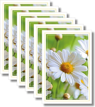 6x dubbele wenskaart met envelop - Blanco - Bloemen - 11,5 x 17 cm