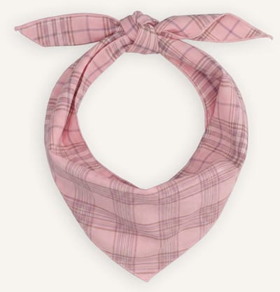 BONNIE STUDIOS Plaid Scarf Sjaals Dames - Roze - Maat ONESIZE