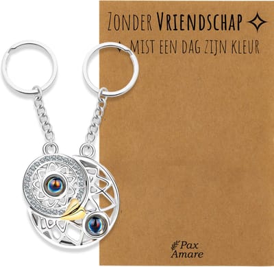 BFF Sleutelhanger voor 2 'Zonder Vriendschap mist een dag zijn kleur' - Rondjes ILY IN 100 TALEN - Sleutelhanger set op Cadeau Kaartje - Zilverkleurig - Vriendschap Symbool - Pax Amare