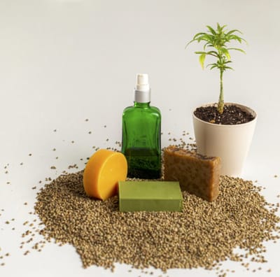 WietOliePuur CBD Zeep 10% - 100gr - met Cannabidiol & Hennepextract - Natuurlijke Handzeep & Bodyzeep voor de Huid - Vegan & Ambachtelijk