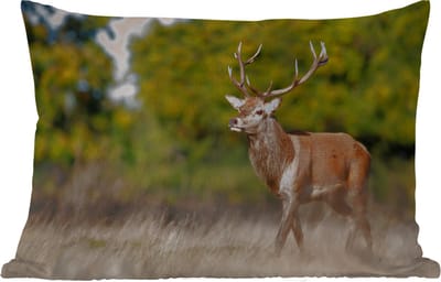 Buitenkussens - Tuin - Dieren - Hert - Gewei - Bosdieren - Natuur - 50x30 cm