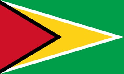 Vlag Guyana 30x45cm