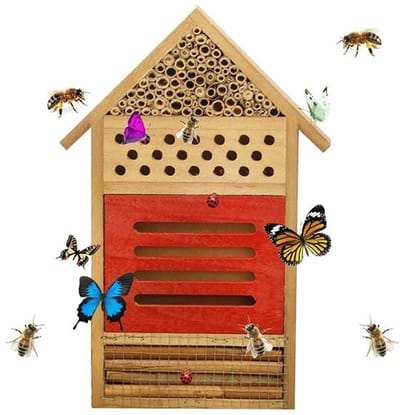 Allecto - Insectenhuis - Bijenhotel - Natuurlijke attractie voor tuin