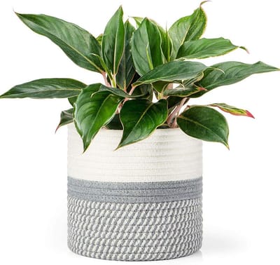 gevlochten bloempot, binnenplant, plantenmand van katoenen touw voor binnendecoratie, opbergmand voor speelgoed, kleding, diameter 30 cm