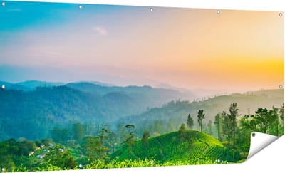 Gards Tuinposter Zonsondergang op een Thee Plantage - 180x90 cm - Tuindoek - Tuindecoratie - Wanddecoratie buiten - Tuinschilderij