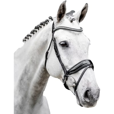 Hoofdstel Horseware Flash