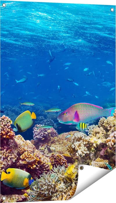 Gards Tuinposter Vissen met Koraalrif in de Oceaan - 60x90 cm - Tuindoek - Tuindecoratie - Wanddecoratie buiten - Tuinschilderij