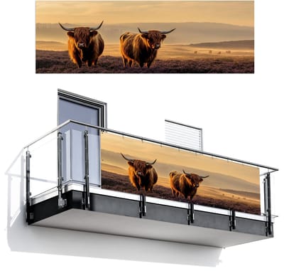 Balkonscherm 300x100 cm - Balkonposter Schotse hooglanders - Heide - Landschap - Dieren - Balkon scherm decoratie - Balkonschermen - Balkondoek zonnescherm