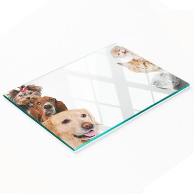 Glazen snijplank met decoratieve afbeeldingen van honden en katten, 80x52 cm
