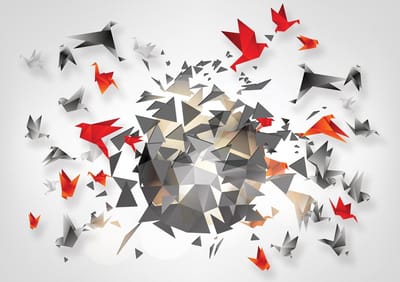 Explosion Birds Abstract  Photo Wallcovering