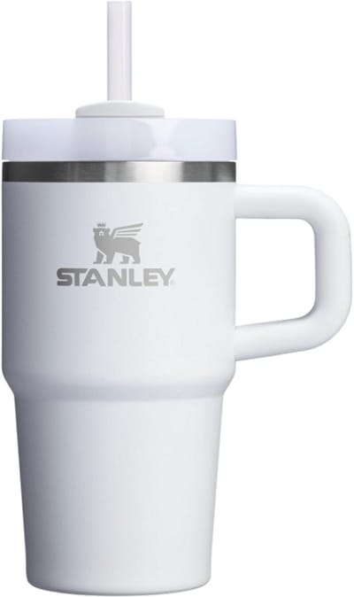 STANLEY Quencher H2.0 Tumbler 20 oz – Frost | RVS Drinkbeker met Handvat & Rietje | 3-Stand Flowstate Deksel | Reisbeker | Cup Holder Compatibel | Geïsoleerd & BPA-Vrij