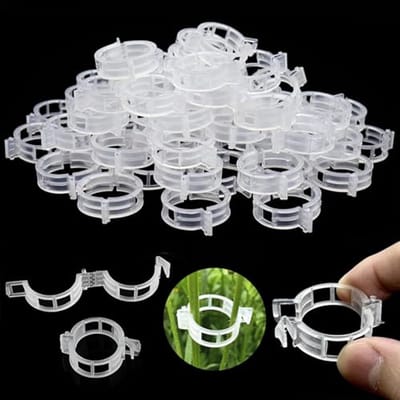 Plantclips 250 Stuks - Duurzaam PP Plastic - Weerbestendig - Makkelijk te Bevestigen - ShopVlot