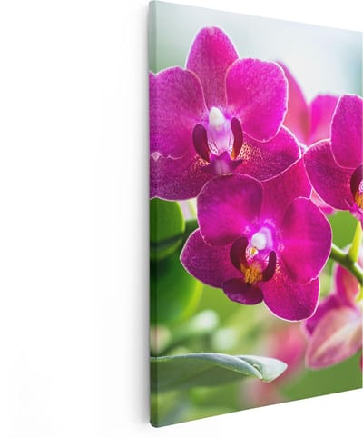Artaza Canvas Schilderij Orchidee - 80x120 cm - Groot - Wanddecoratie Bloemen - Muurdecoratie Woonkamer - Schilderijen Op Canvas
