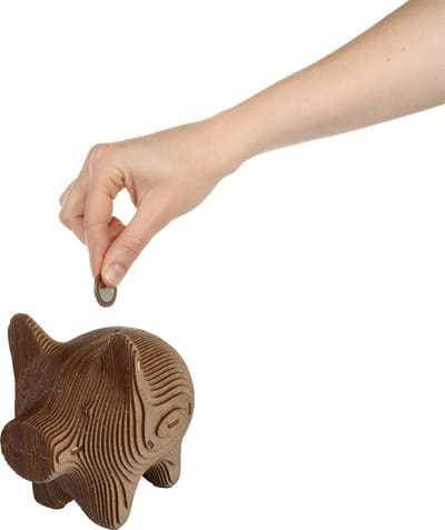 Eco Wood Art Modelbouwpakket Spaarpot Varkentje - 3D Puzzel - Bouwpakket Volwassenen - DIY - Hout