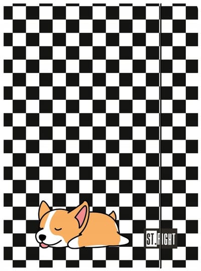 ST.RIGHT Sleepy Corgi Map A4 300g/m² met Elastiek - Kinderen