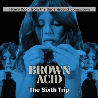 Various Artists - Brown Acid: The Sixth Trip (LP)
