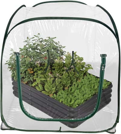 Buitenkas Opvouwbaar - Plantentent Mini Kas - Planten Beschermen - Gereedschapsloze Montage - 98x98x98 cm - Transparant