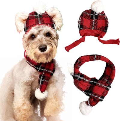 Winter Setje Hond - Kerst - 2 Delig - Sjaal en Muts - Ruiten Rood - Geschikt voor Honden - Winter Pakje - Hondenkleding - Maat S