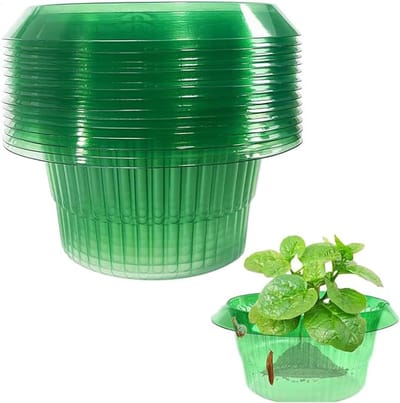 10 Groentebeschermers - Plantenhoes - slakkenringen - Slakkenwerende ringen - Beschermingshoezen tegen ongedierte - Beschermhoezen voor planten - Plastic - Groen