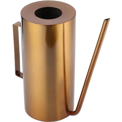 Arrosoir de jardin en acier inoxydable à long bec, outil d'irrigation pour plantes et fleurs, doré, 1,5 L beige