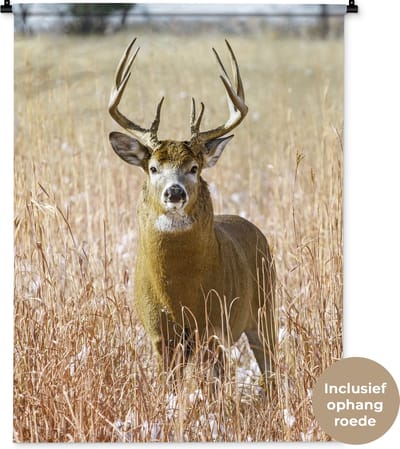 Wandkleed - Wanddoek - Hert - Gras - Herfst - Dieren - Natuur - Gewei - 90x120 cm - Wandtapijt