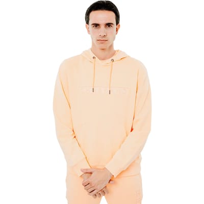 Hoody met ingekaderd logo Chabrand