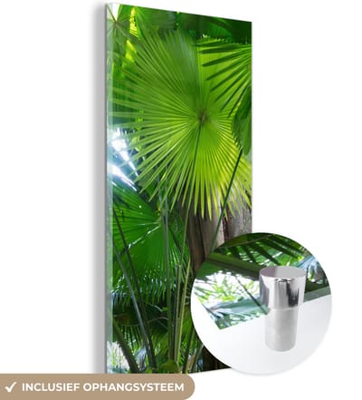 MuchoWow® Glasschilderij 20x40 cm - Schilderij acrylglas - Tropisch regenwoud - Foto op glas - Schilderijen