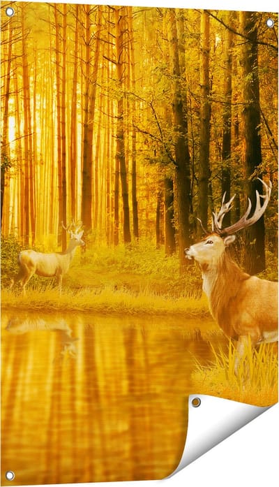 Gards Tuinposter Twee Herten in het Bos bij het Water - 60x90 cm - Tuindoek - Tuindecoratie - Wanddecoratie buiten - Tuinschilderij