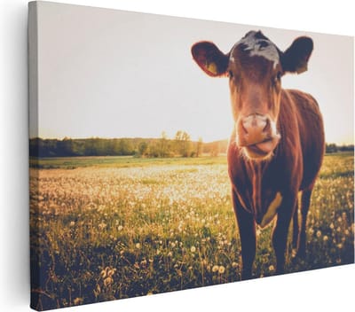 Artaza Canvas Schilderij Koeien - 30x20 cm - Klein - Wanddecoratie Boerderijdieren - Muurdecoratie Weiland - Kamer Accessoires Natuur