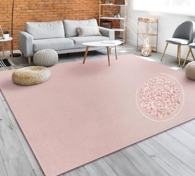 Paco Home Vloerkleed Woonkamer Effen Eenvoudig En Modern Laagpolig, Versch. Afmetingen Kleuren 60x100 cm