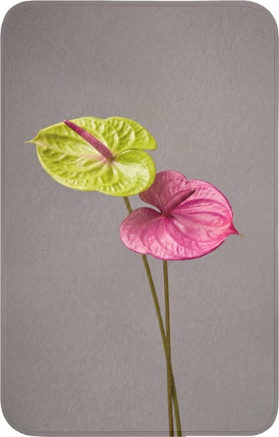 WC mat 50x80 cm - Antislip - Planten - Anthurium - Groen - Roze - Toiletmat - Vloermat - Douchemat - Toilet tapijt - Toiletmatten