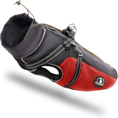 Honden Regenjas - Waterdichte Jas - Droog Blijven - Met Geïntegreerd Tuigje - 30 x 22.5 cm - Rood